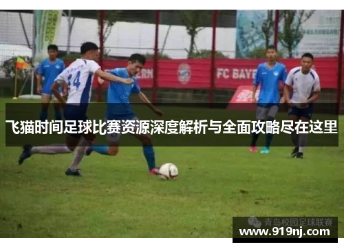 飞猫时间足球比赛资源深度解析与全面攻略尽在这里
